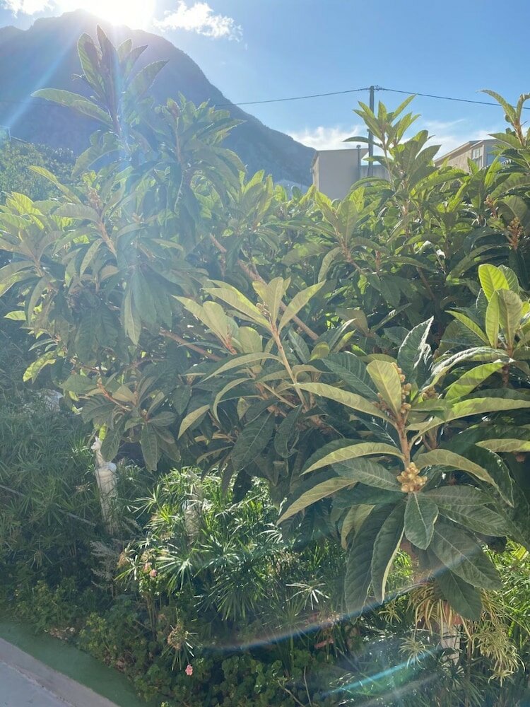 Фото Biljana - 150m From Beach - A3