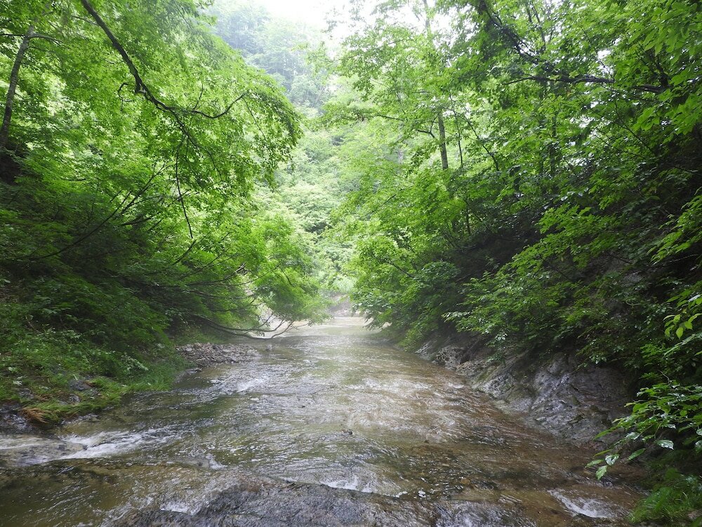 Фото Mori no Bunko Fuzawa