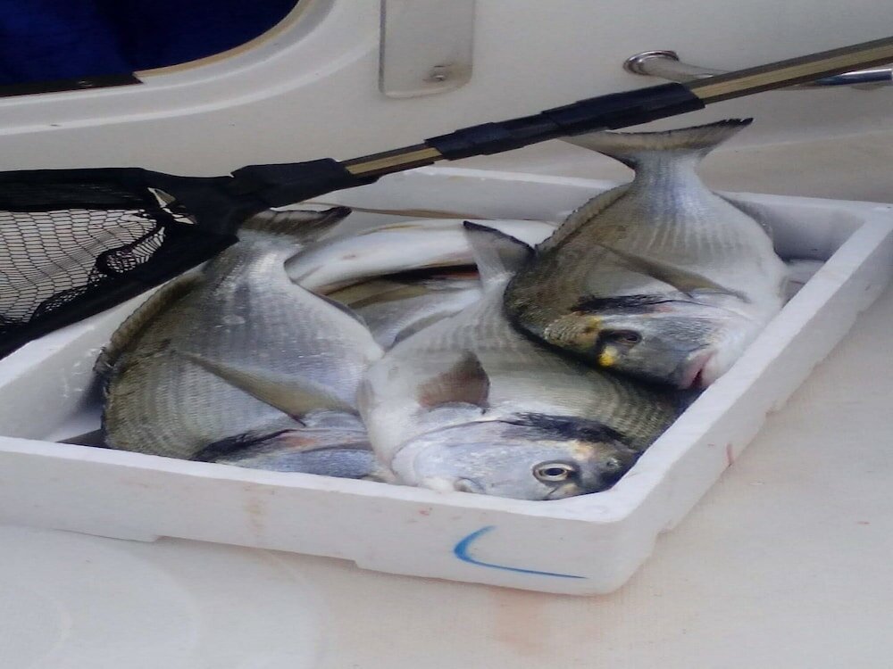 Фото Apartments Nina & Kate