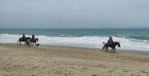 Гостиница Mandalay Shores Resort в Порт Хаенем