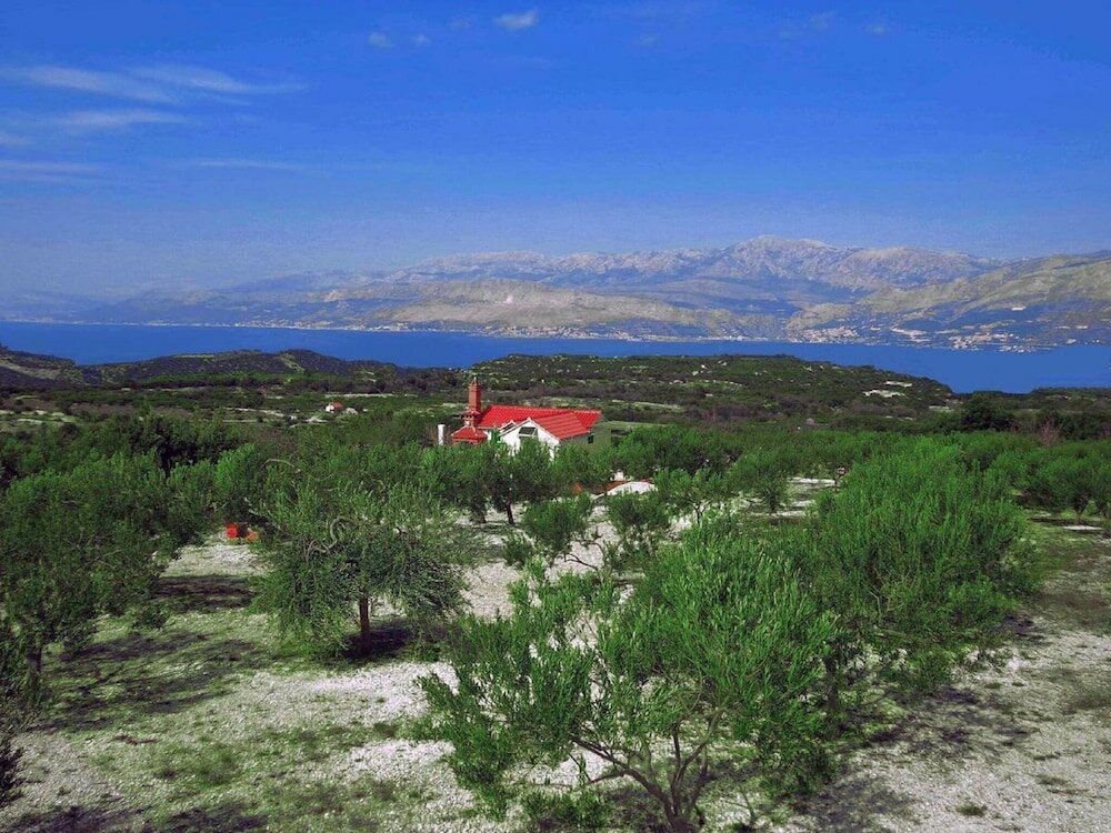 Фото Robinson House Dubrova