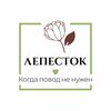 lepestok-flower.ru