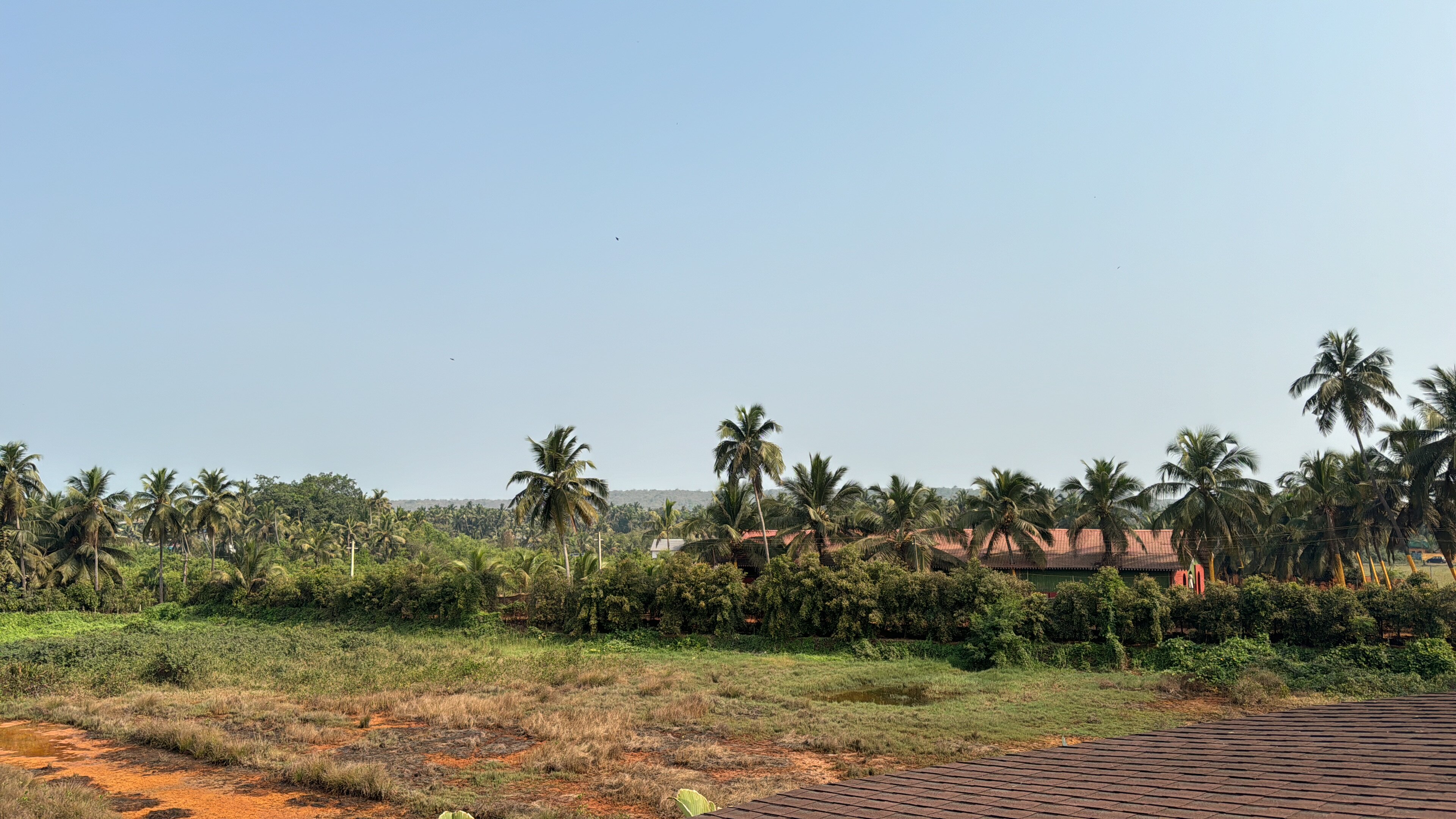 Фото Nanu Resort Arambol