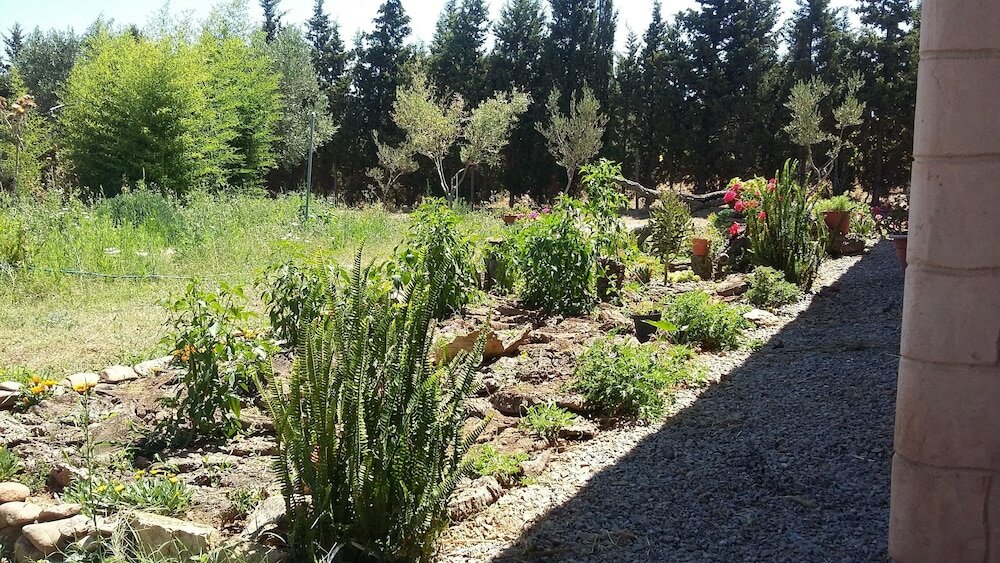 Фото Agriturismo Sogno Latino