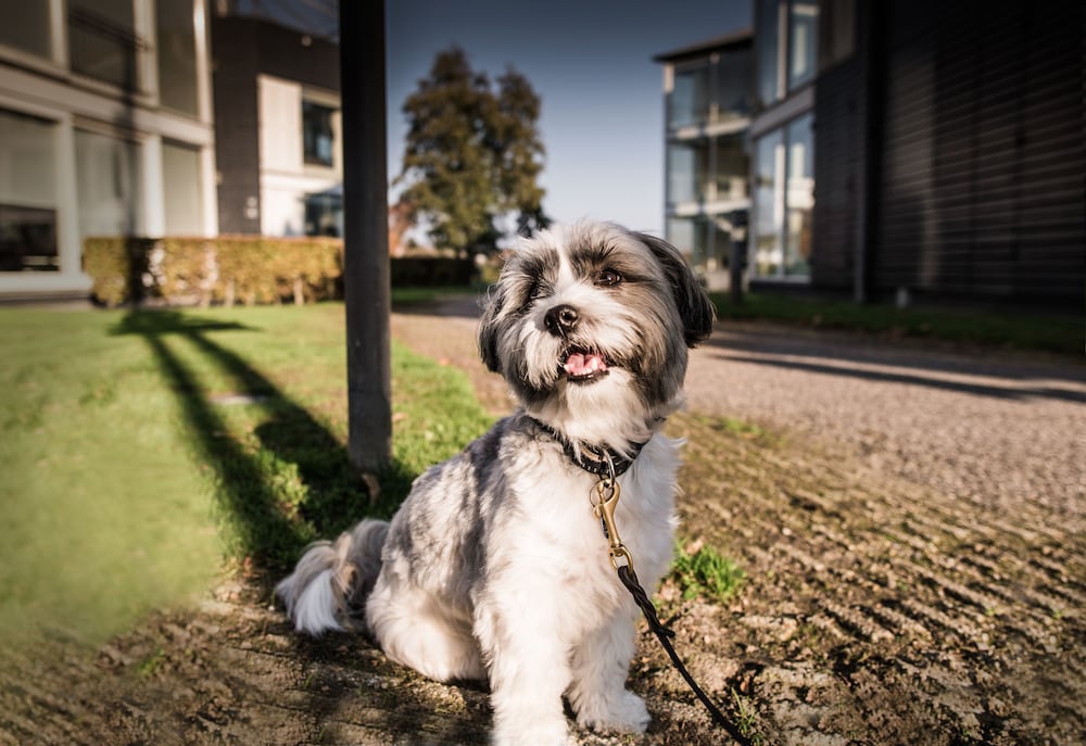 Фото Kolding Hotel Apartments