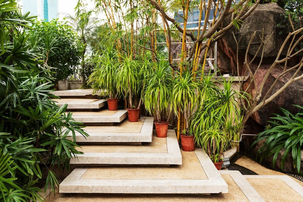 Фото Ocean Hotel