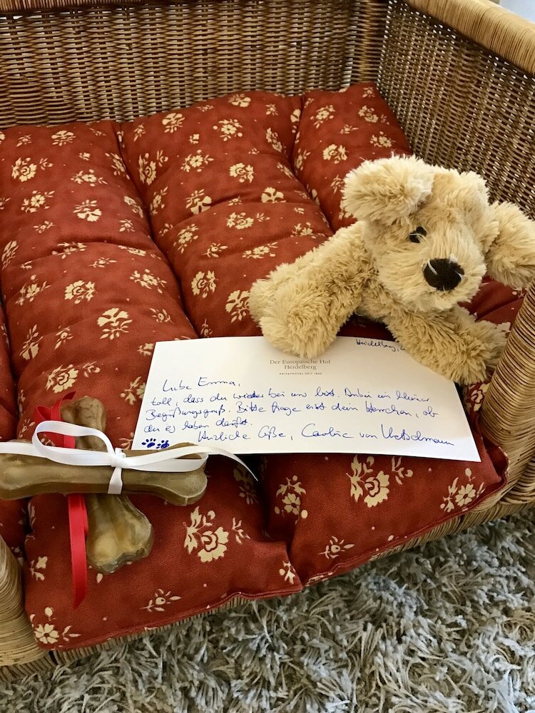 Фото Hotel Europäischer Hof Heidelberg