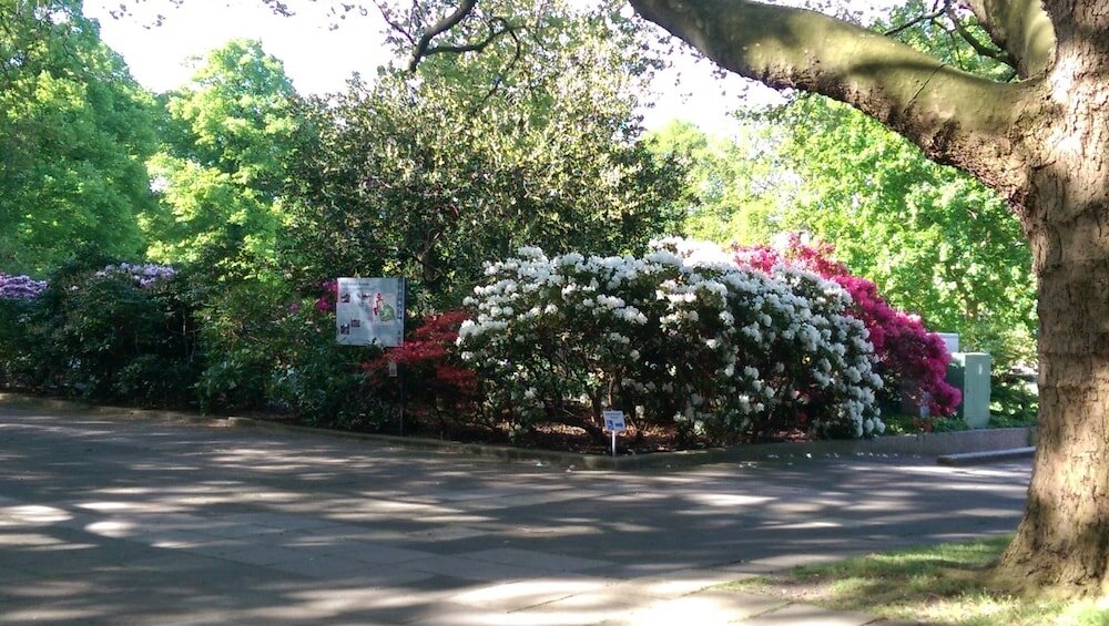 Фото Congress Hotel Am Stadtpark