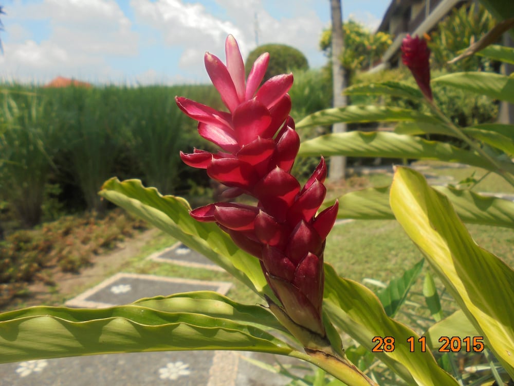 Фото 194778772671