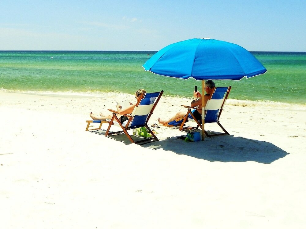 Фото Osprey on the Gulf