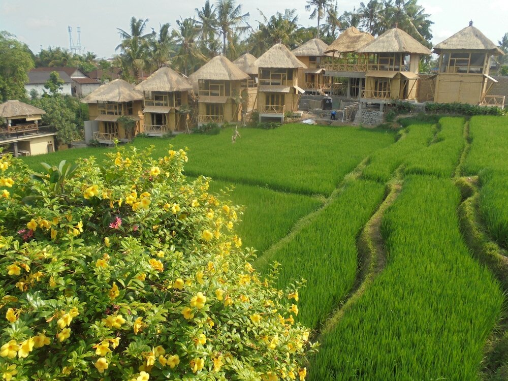 Фото 194778772671