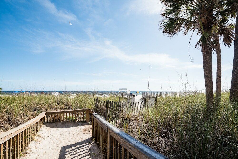 Фото Osprey on the Gulf