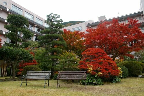 Гостиница Gero Onsen Bosenkan