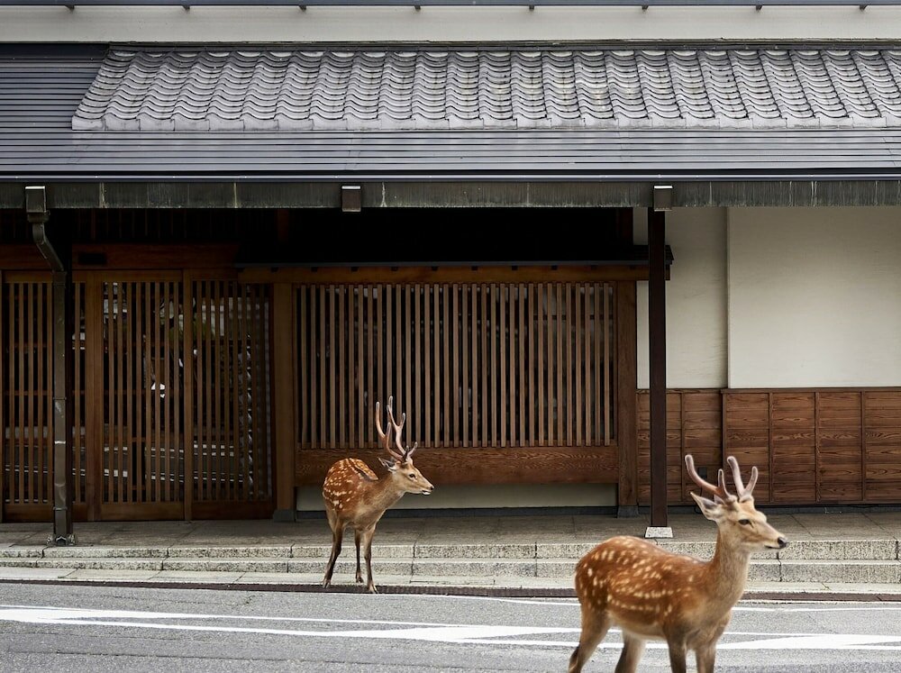 Фото Sarusawaike Yoshidaya