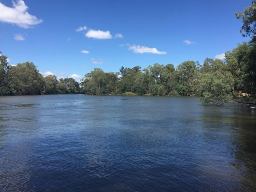 Фото Seymour Motel