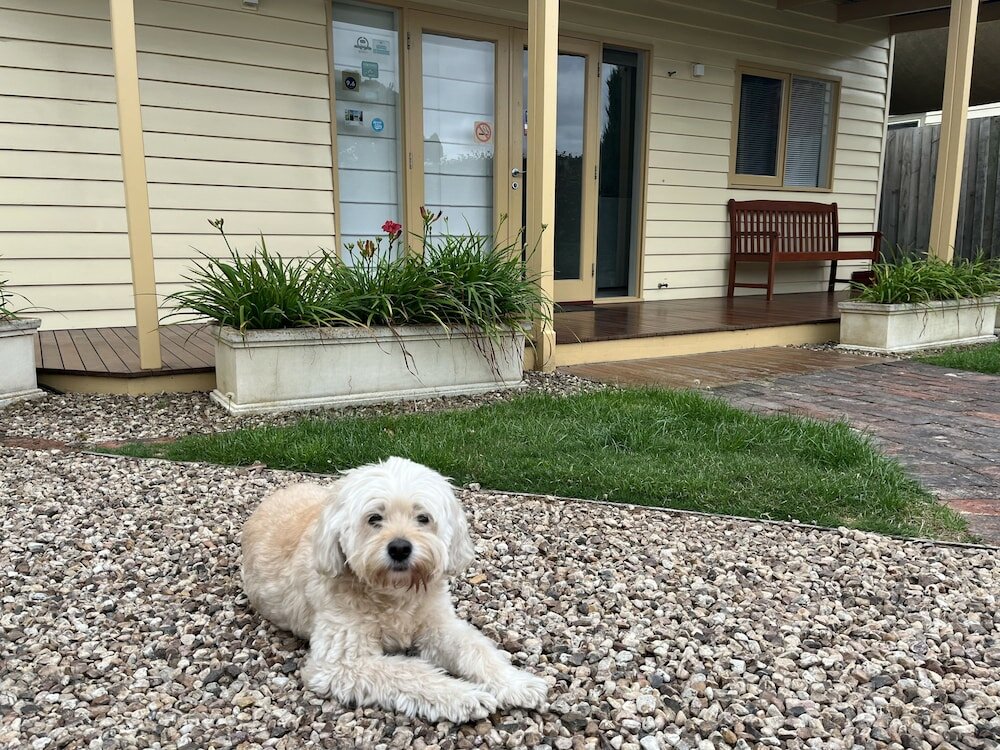 Фото отеля 3