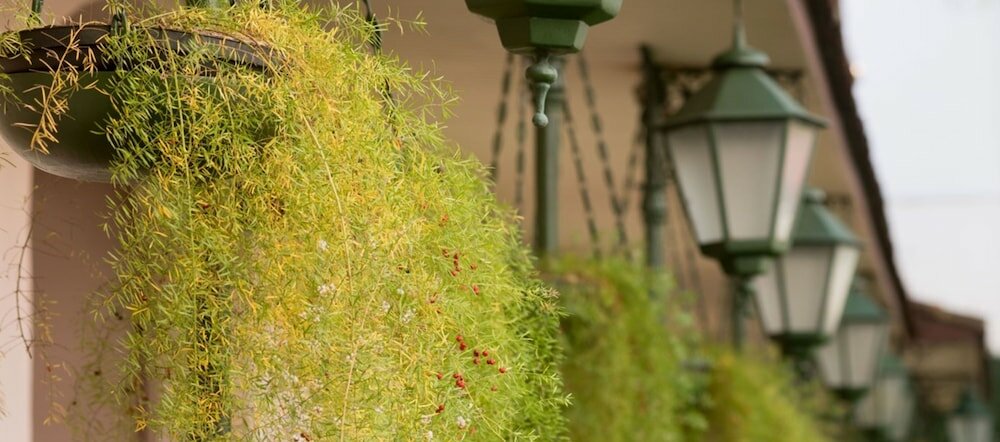 Фото Vila Galé Rio de Janeiro