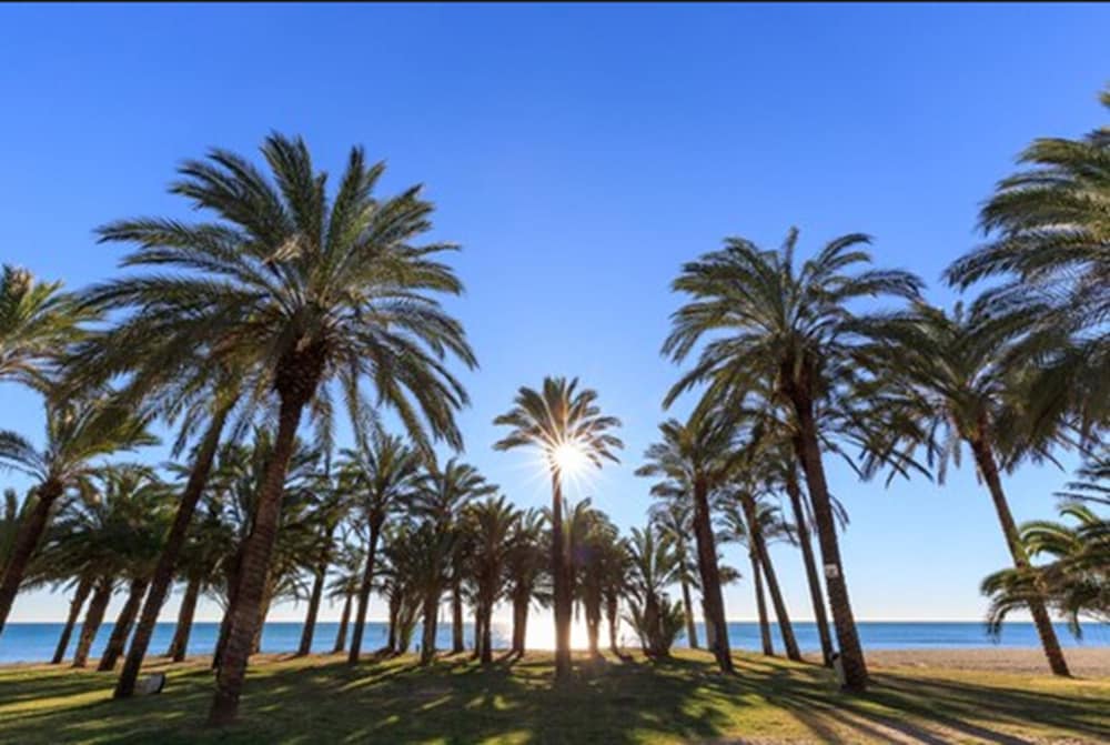 Фото Candisol Cozy Inns