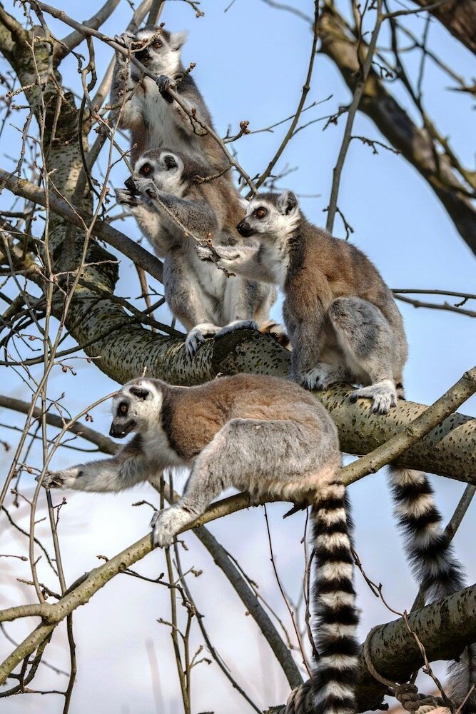 Фото Sorell Hotel Speer