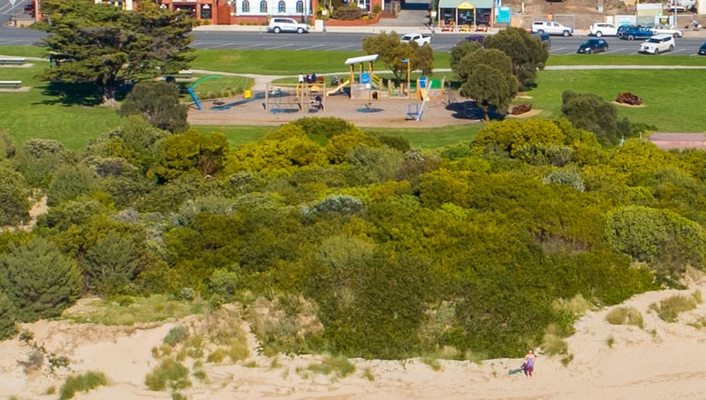 Фото Comfort Inn The International