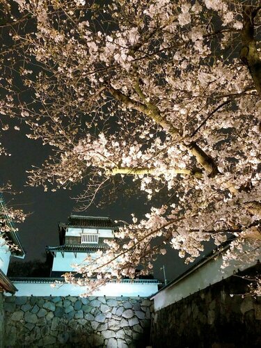 Внешний вид отеля Hotel Okura Fukuoka в Фукуоке, фото 5