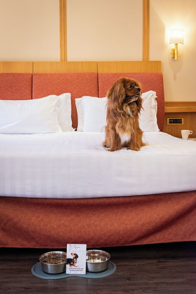 Фото Best Western Hotel President