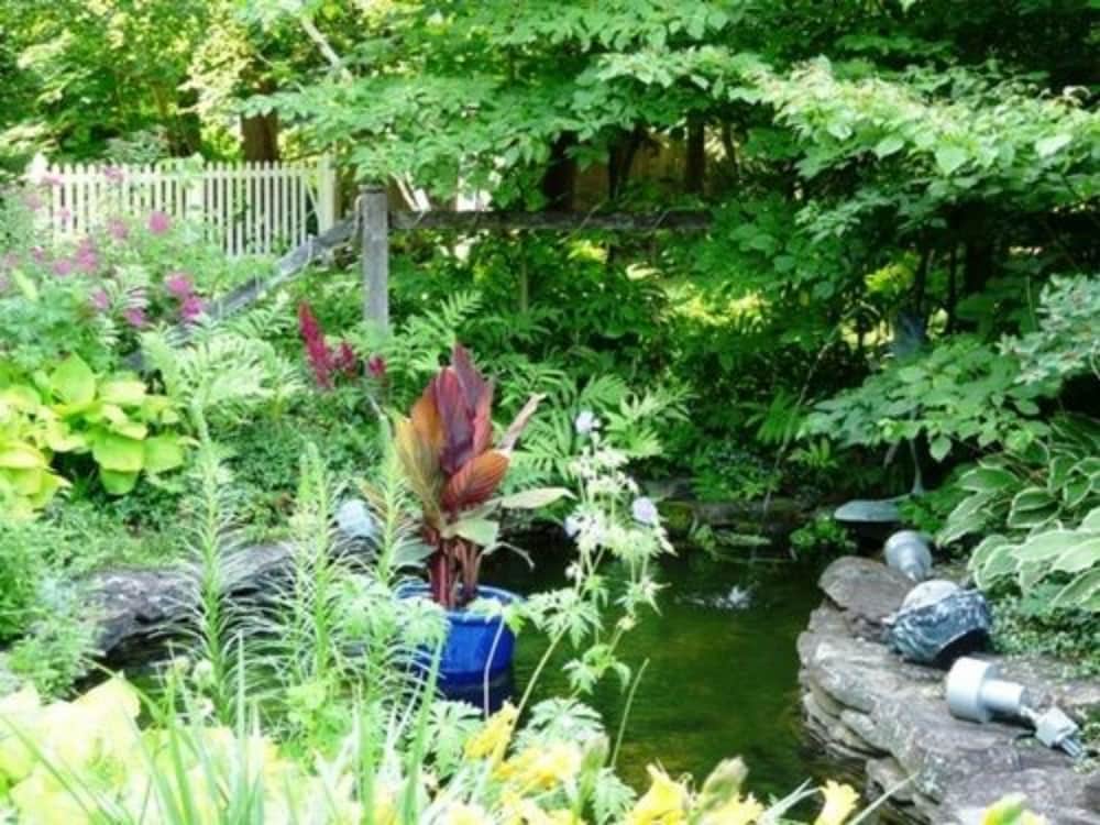 Фото The Lilac Inn