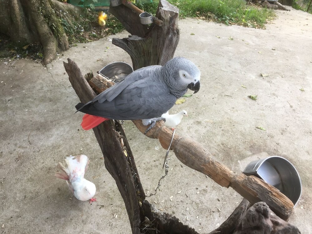 Фото Paradise Beach Resort