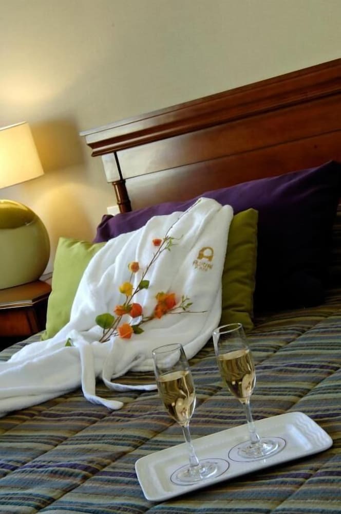 Фото Austral Hotel