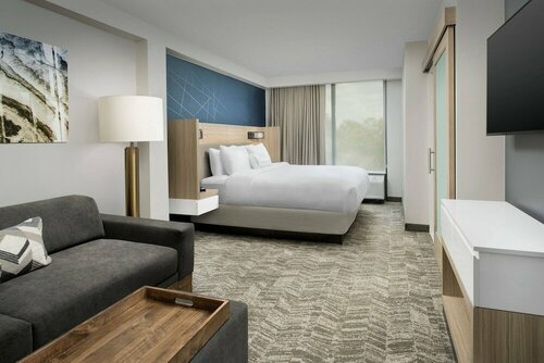 Гостиница SpringHill Suites by Marriott Atlanta Perimeter Center
