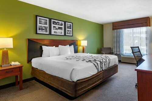 Гостиница Sleep Inn & Suites Stockbridge Atlanta South