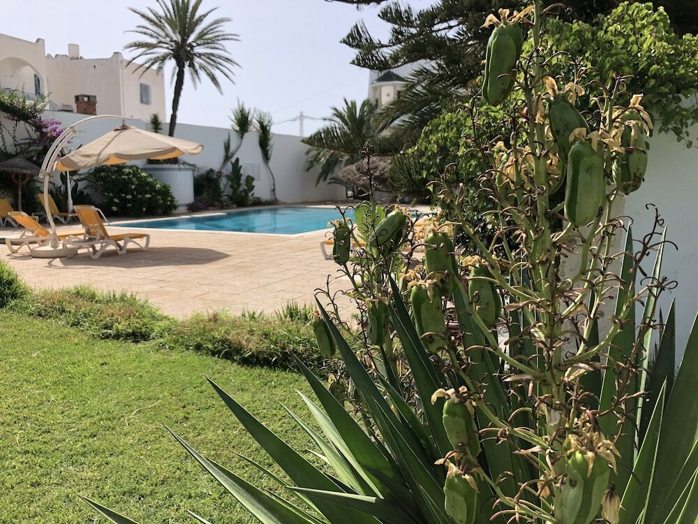 Фото Djerba Orient