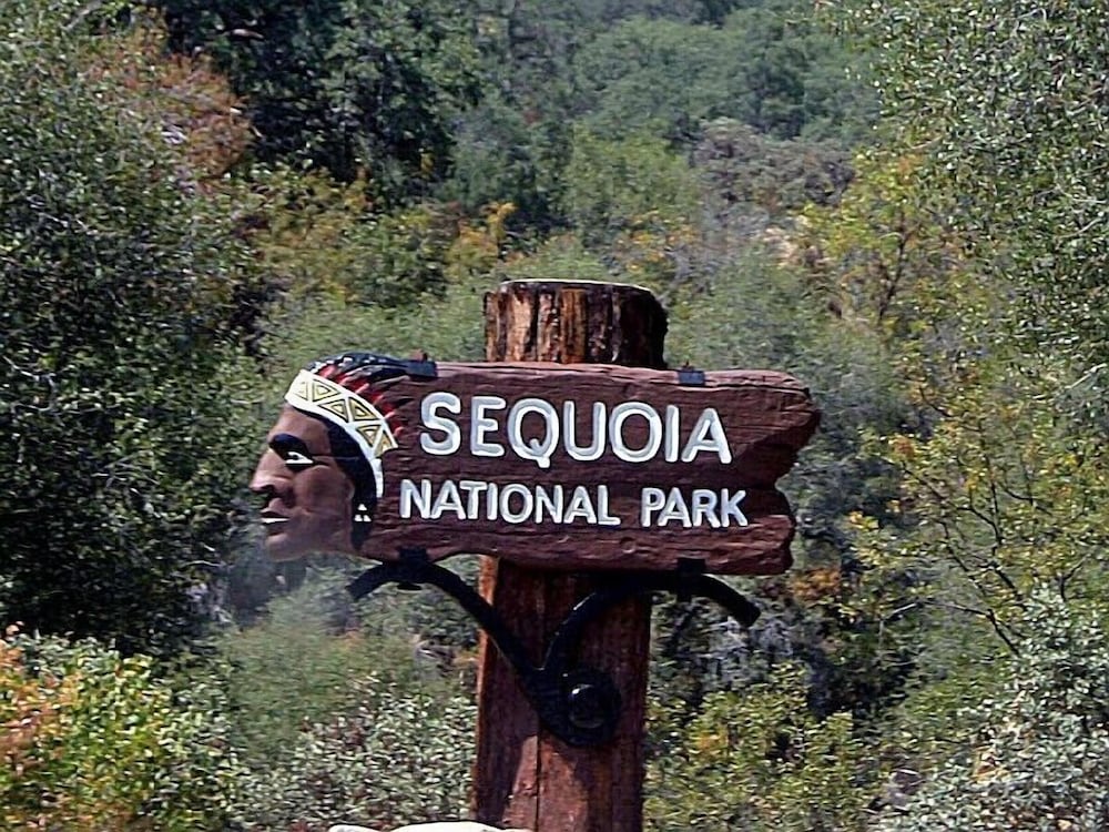 Фото Super 8 by Wyndham Lindsay Olive Tree