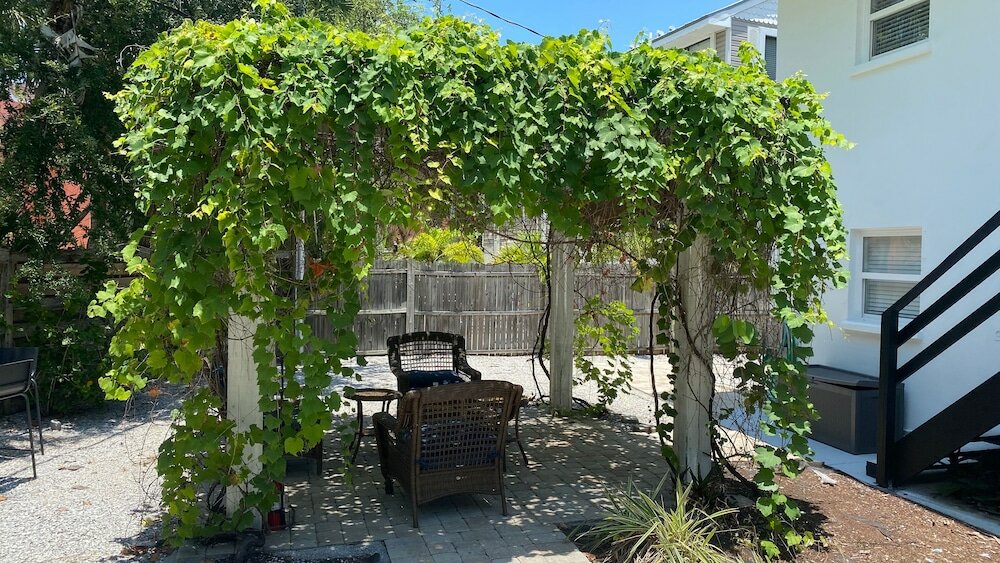 Фото Tropical Breeze Resort