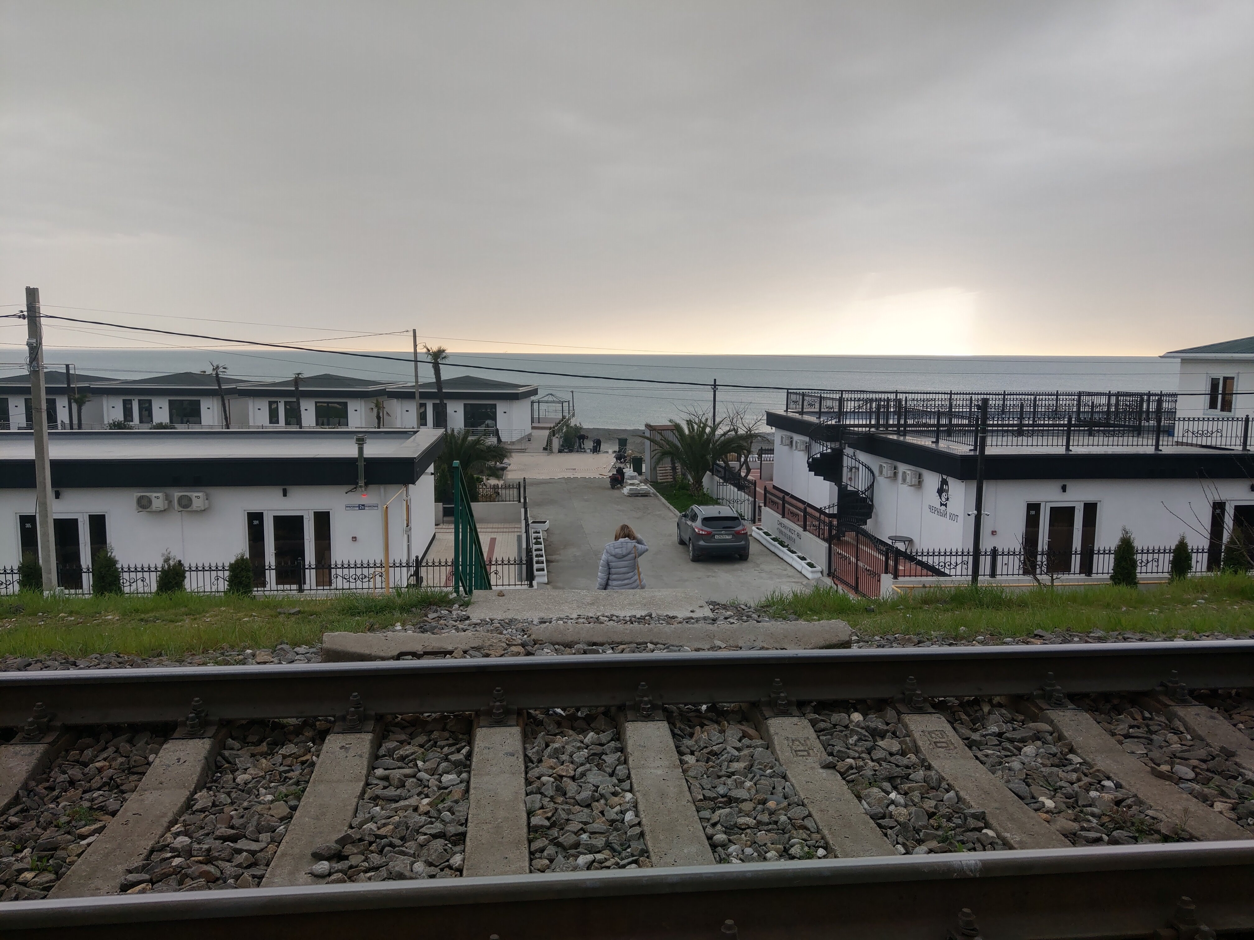 Фото Черный кот