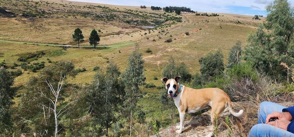 Фото Oban Historical Guest Farm