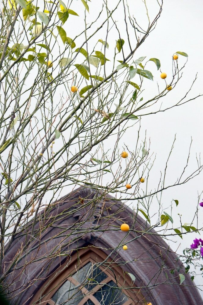 Фото Hotel Casa Blanca 7