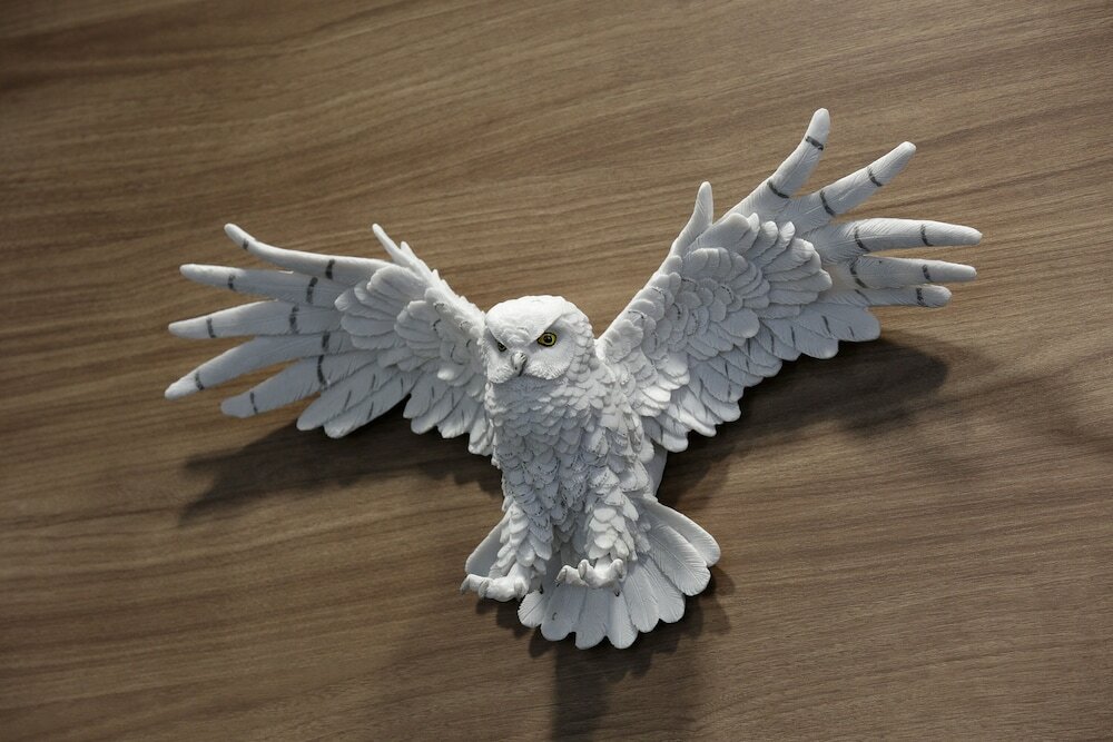 Фото Hotel Reus Ashoro