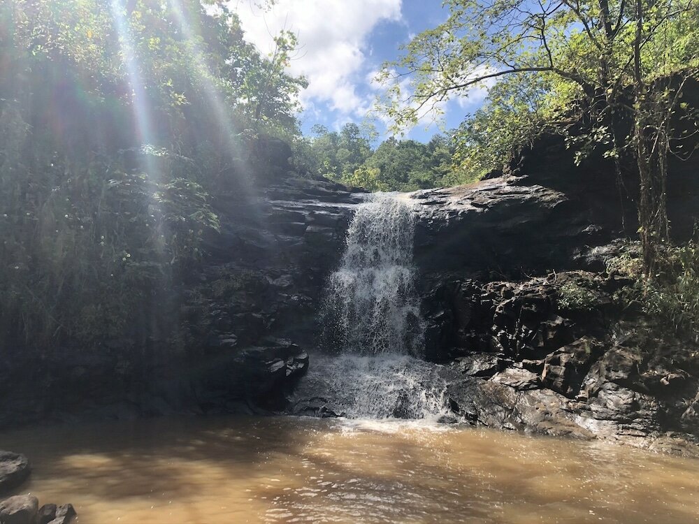 Фото Ananta Ecostays