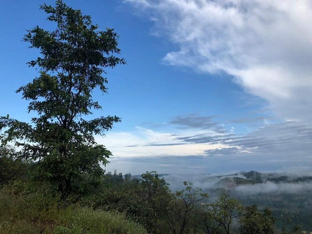 Фото Ananta Ecostays