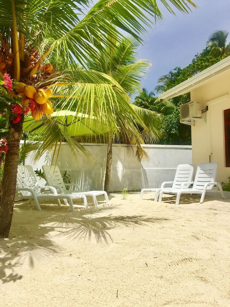 Фото Гостевой Дом Maclura Residence