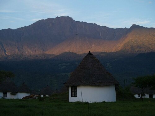 Гостиница Momella Wildlife Lodge