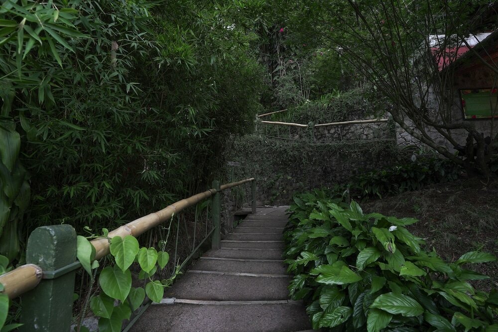 Фото Tea Valley Resort