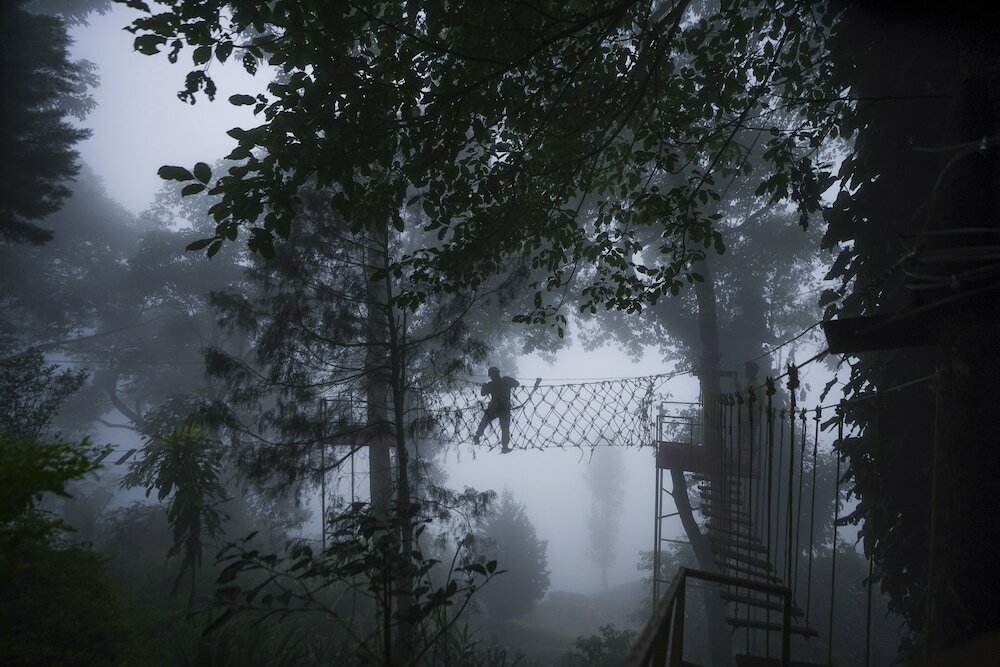 Фото Tea Valley Resort