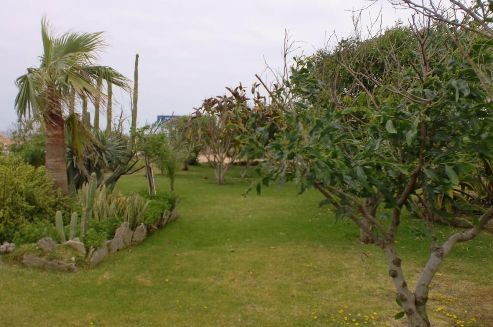 Фото Hostal Restaurante La Ilusión