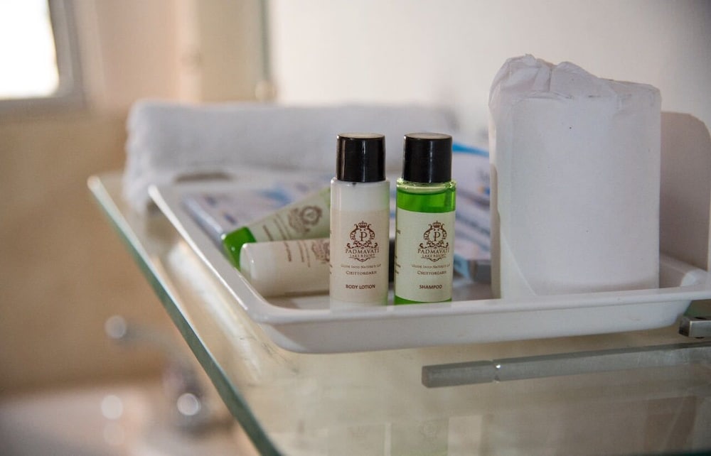 Фото Padmavati Lake Resort