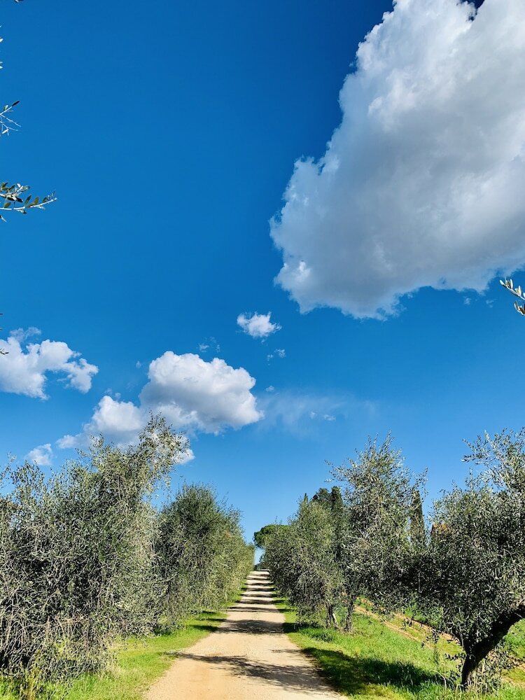 Фото Tenuta Agricola Fraschiera