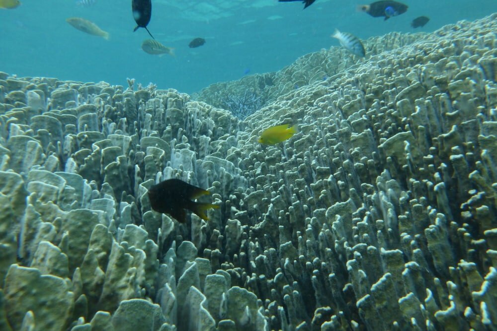 Фото Minsyuku funatsukiba