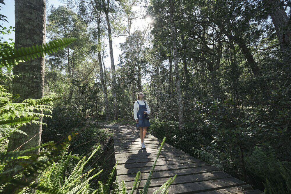 Фото AfriCamps at Oakhurst- Glamping