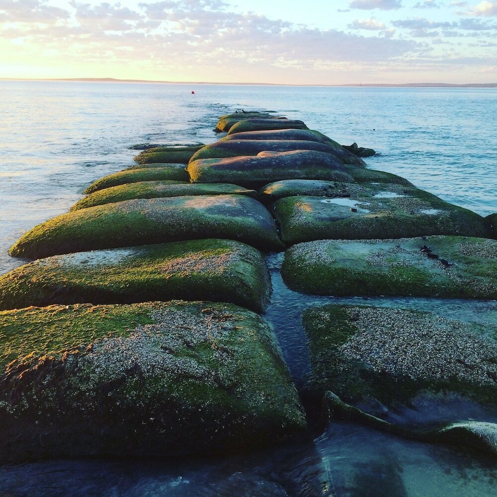 Фото Sandra's Guest House